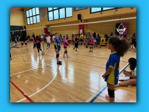 Volley S3 Malnate 26.04.26 (67).jpg